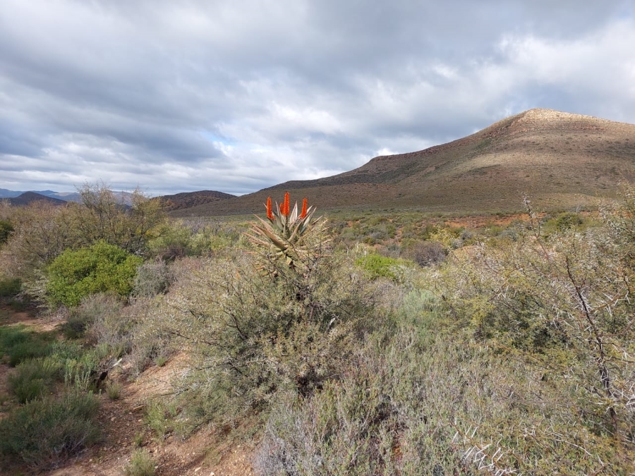 7 Bedroom Property for Sale in Ladismith Rural Western Cape